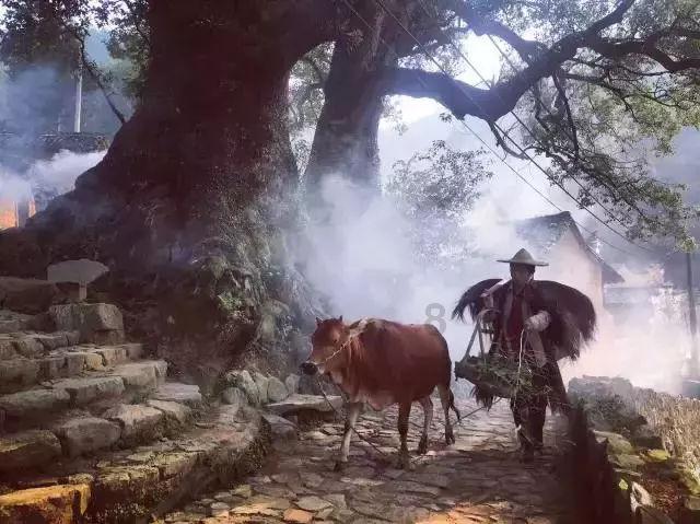 异械危机