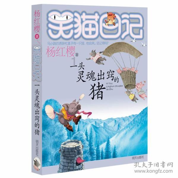 两栖轰炸机介绍？游戏画面