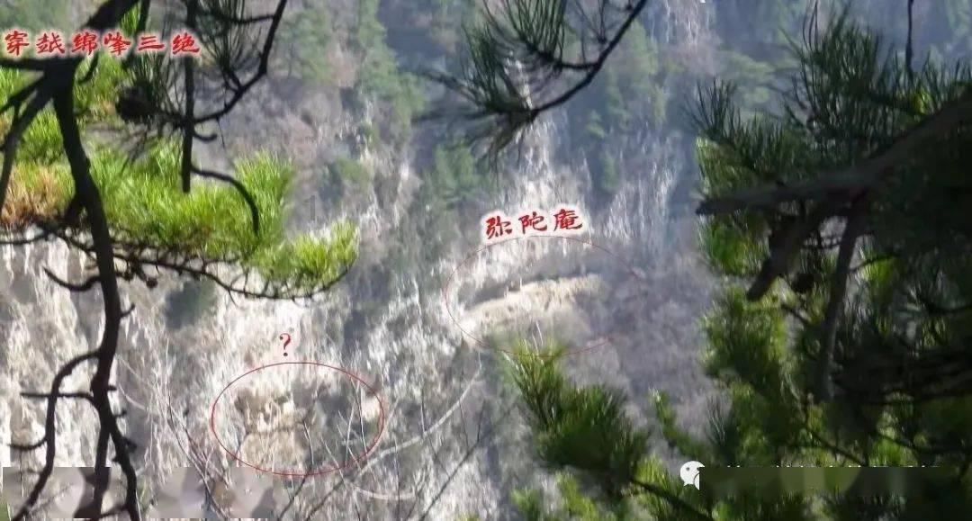29位上市公司董事长年薪超千万，最赚钱的工作是什么？游戏画面