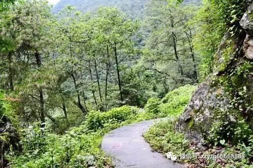 在周杰伦模仿大赛里，粥饼伦击败了周杰伦。