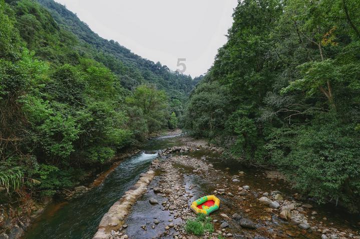 小猫钓鱼游戏龙王版有船