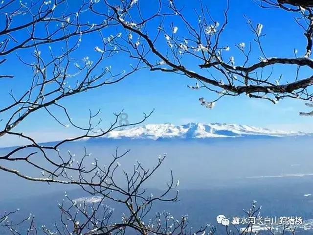 “博物馆+非遗”新场景,来博物馆与扬州传统文化不期而遇吧
