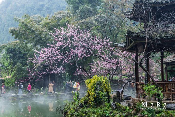当我们吃西湖醋鱼的时候,是在吃什么