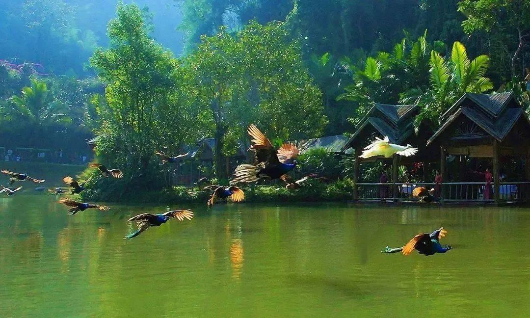 菲律宾南部降雨已致超49万人受灾