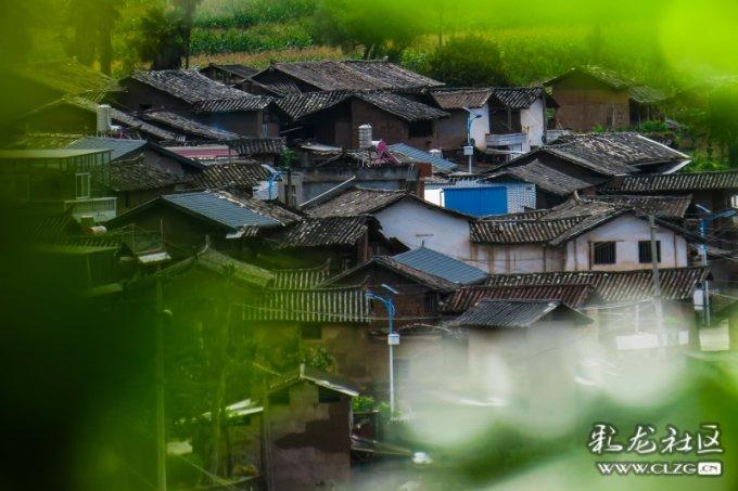 贪玩蓝月