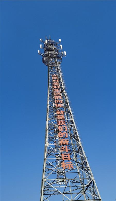 泡沫森林
