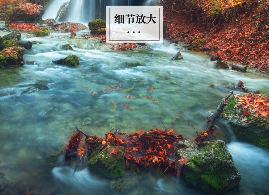 央视“网络春晚”王冰冰连线丁真，对此你有什么感受？